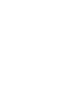 Lone Star