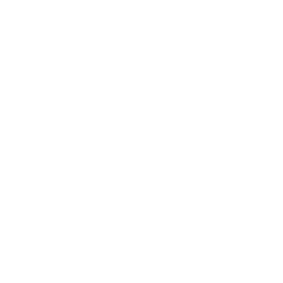 Pabst Blue Ribbon